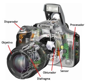 cámara analógica